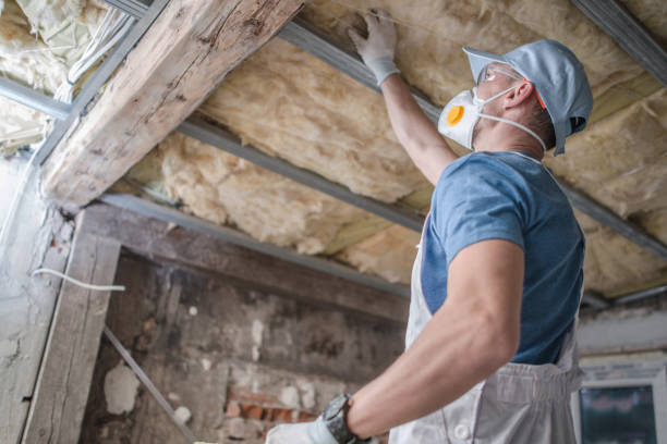 Best Residential Insulation in Offutt Af, NE