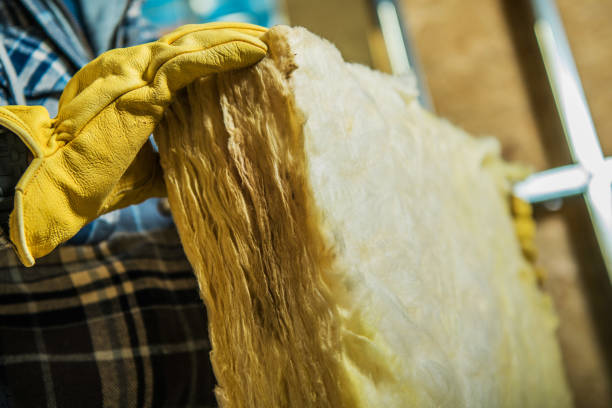 Professional Insulation Contractor in Offutt Af, NE