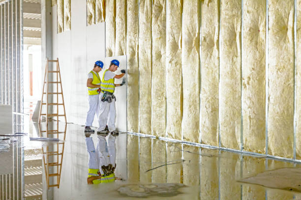 Best Energy Efficiency Insulation in Offutt Af, NE
